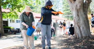 Ngunnawal garden helping to understand roots of traditional plants