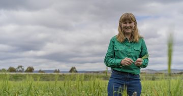 What's the future of farming look like in the ACT?