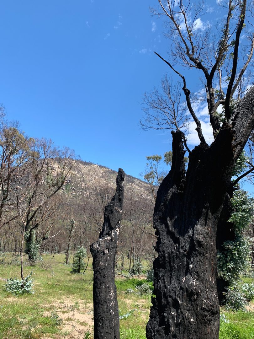 Namadgi National Park