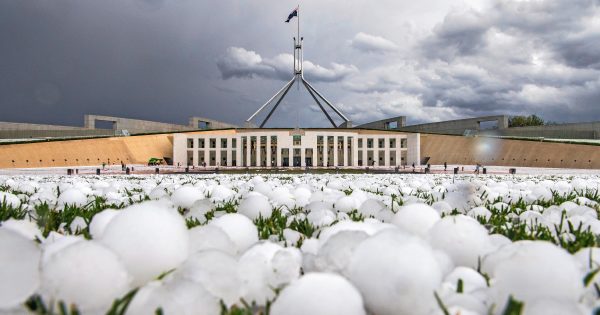 More than a year after devastating hail, what have we learnt about insurance?