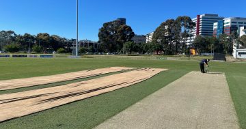 Is the cost of water killing community sport in Canberra?