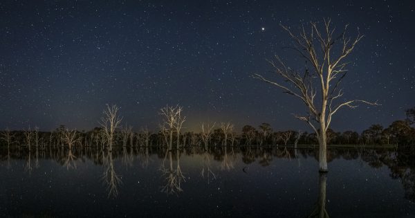 Matt Tomkins is the overall winner of Icon Water's spring photo competition