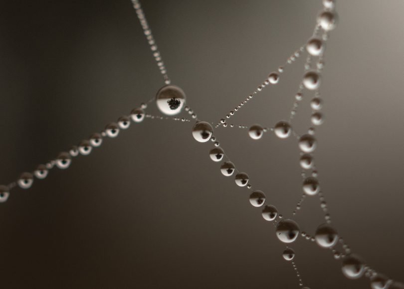 Photo of water droplets.