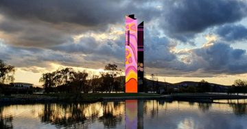 Nine things to do in Canberra this week (13 - 19 November)