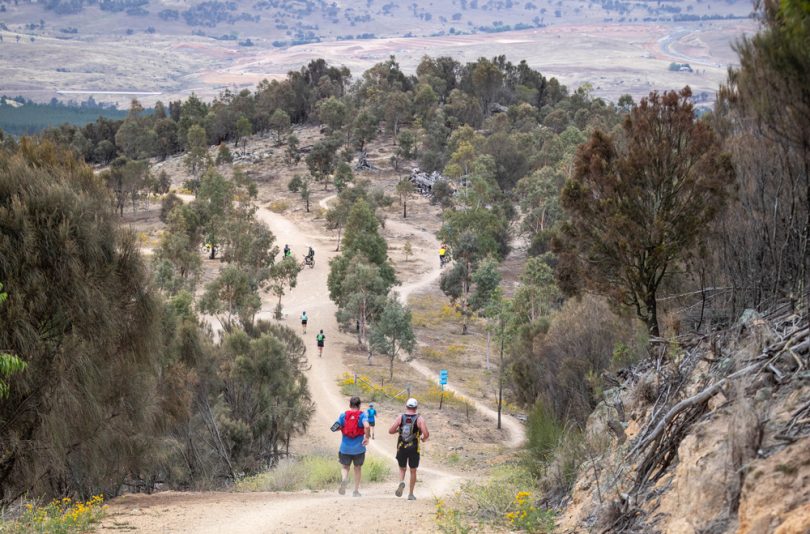 Runners on the course