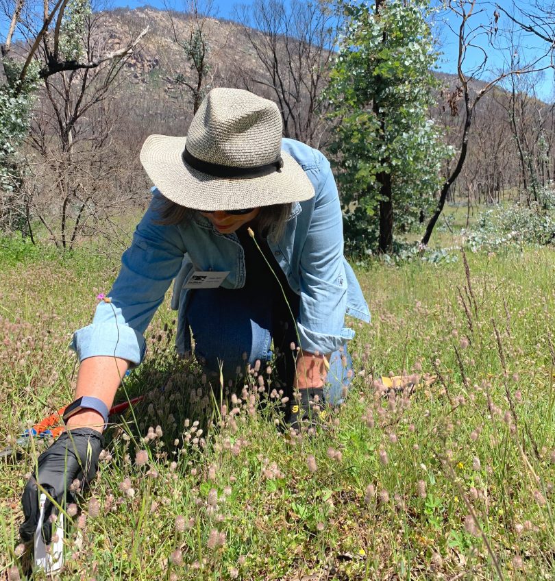 Landcare volunteer