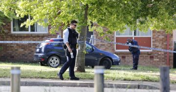 Shooter admits he fired gun at family's home in Narrabundah