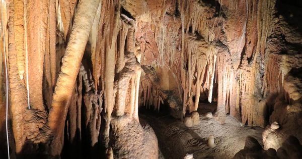 'Irreversible' damage done to 200-million-year-old cave vandalised at Kosciuszko National Park