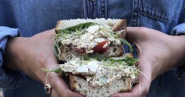 Hot in the City: sandwiches get the pop-up treatment with the opening of Sandoochie