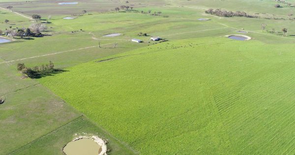 Rural property sells for record $6200 per acre in Yass Valley