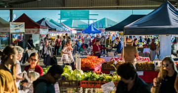 Take 3: Christmas shopping and eating at Capital Region Farmers Market