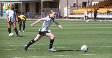 Local duo elevated to playing squad for Canberra United