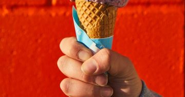 Take 3: The scoop on where to find a good scoop in Canberra
