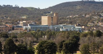 Grandmother's death at Canberra Hospital was partially due to paracetamol overdose