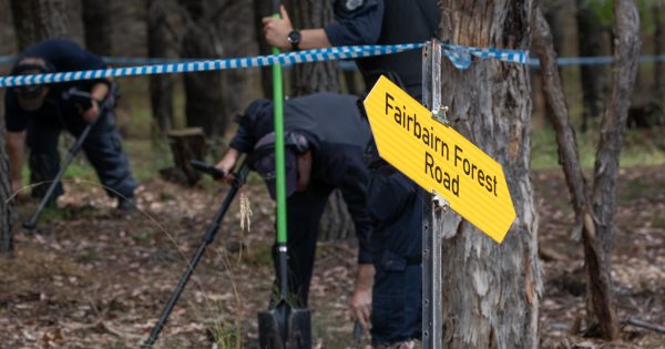 Police search pine plantation for new evidence in Keren Rowland murder case