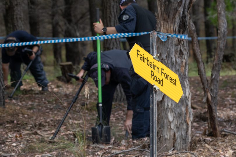 Search of pine plantation for Keren Rowland murder investigation Photo: Michelle Kroll Region Media