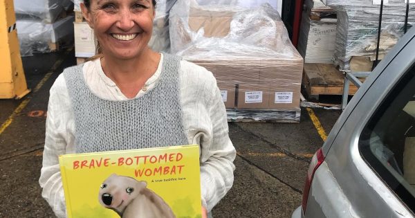 Brave-Bottomed Wombat to help kids process emotions after the fires