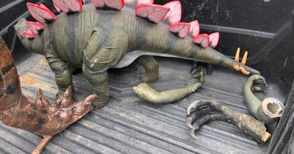 Dinosaurs vandalised at Gold Creek museum