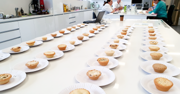 Best festive mince pies rated - would your nan's make the list?