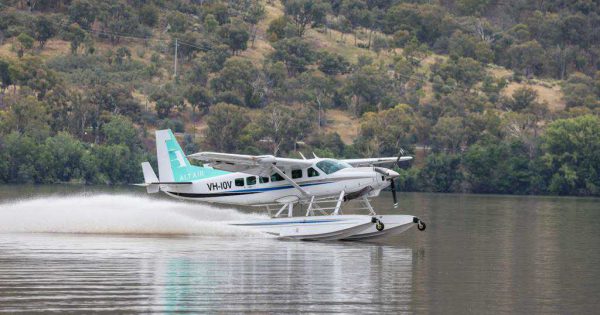 Probing the polls: pet licences, and seaplanes landing on the lake