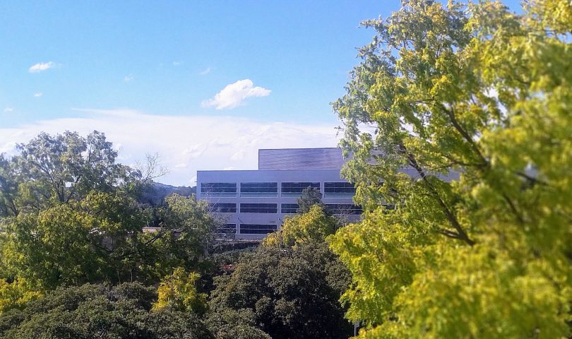 Canberra weather image of sunny skies and trees.