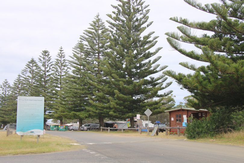 Moruya North Head campground.