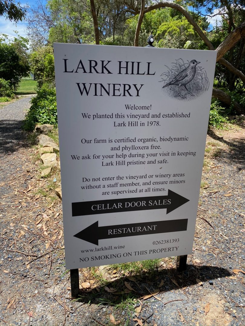 Lark Hill Winery.