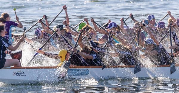 Celebrate history and community at this year's Dragon Boat Festival