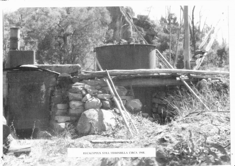 A eucalyptus still at Tidbinbilla from about 1948