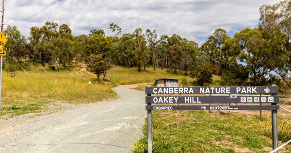 From connection to country and changes to dog-walking – the ACT's 10-year plan for nature reserves