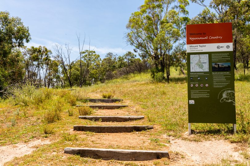 Mount Taylor Reserve