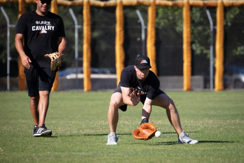 Canberra Cavalry