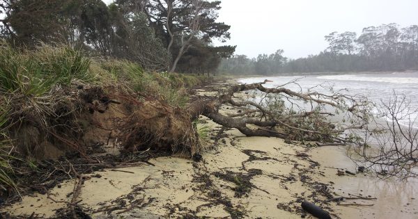 Fears Batemans Bay's Surfside could 'wash into sea' without coastal management plan
