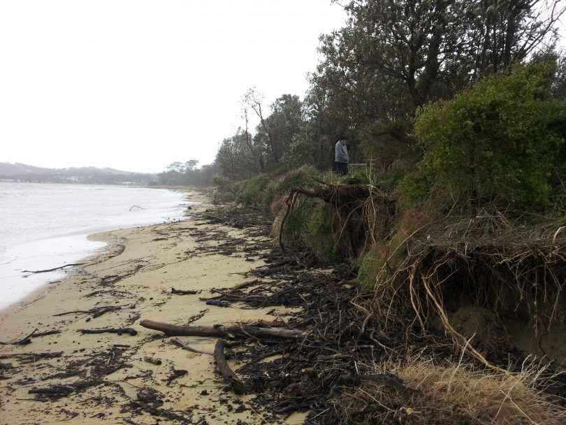 Erosion damage at Surfside on the NSW South Coast.