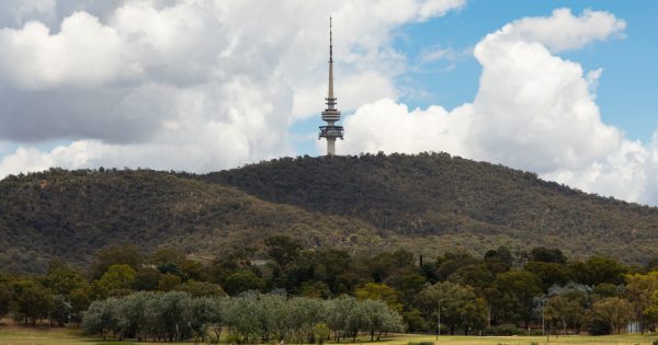 Mountains held high at Canberra's home.by holly