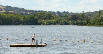 Algae and bacteria outbreak closes multiple waterways and lakes across Canberra