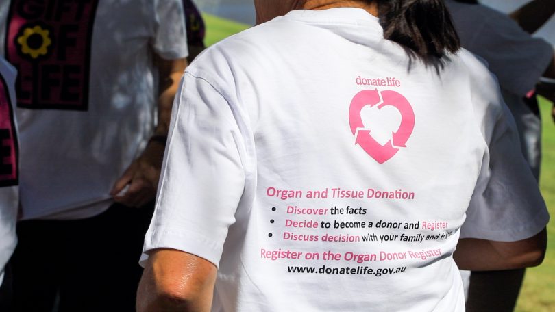 Organ donation information on back of Gift of Life T-shirt.