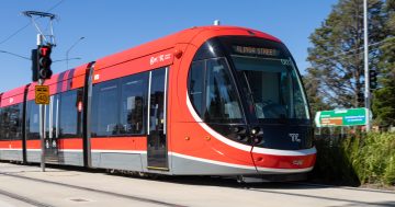 ACT calls on feds to clear approvals path for light rail to Woden