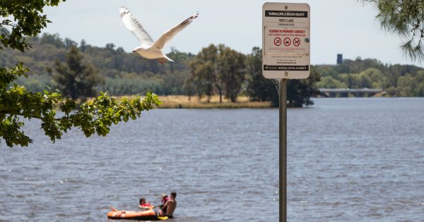 Can Lake Burley Griffin's blue-green algae problem be fixed with ultrasound? Um, not really