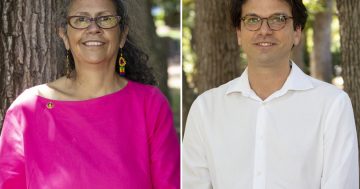 Tjanara Goreng Goreng and Tim Hollo to carry Greens' hopes in federal election