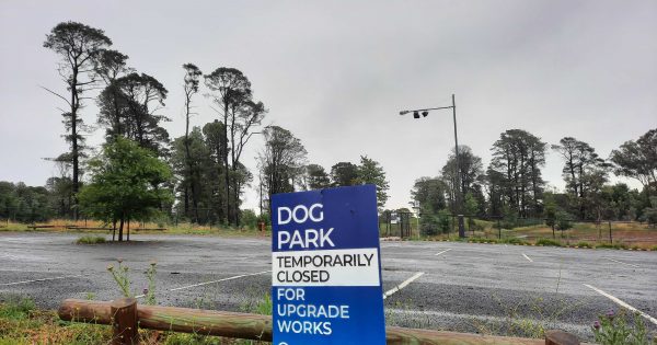 Staged return planned for Yarralumla Dog Park