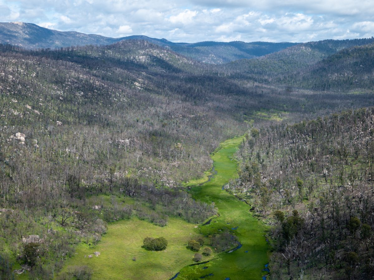 The Orroral Valley, almost 12 months on from the devastating bushfire.