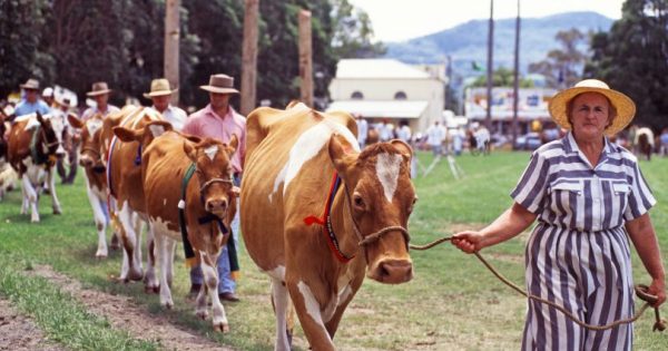 'Great regret': Cooma, Crookwell and Boorowa shows are the latest COVID-19 casualties