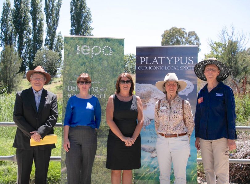 Mike Thompson, Tracy Mackey, Carmen Dwyer, Karen Williams and Deb Kellock 