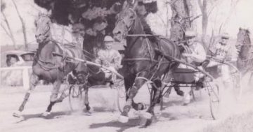 Harness racing legend Tom Hewitt honoured at Goulburn Paceway