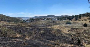 Fast-moving grass fire near Goulburn started by machinery