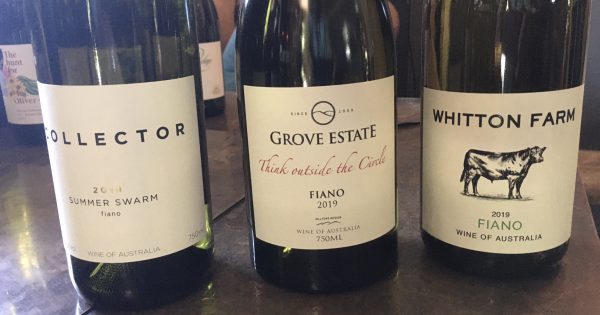 Finding fiano: the new buzz grape variety that's delivering for a changing climate