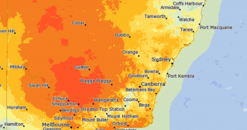 ACT and NSW experience scorcher ahead of cool change and rain