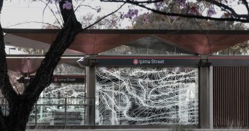 Artist Hannah Quinlivan explains her light rail stop drawings