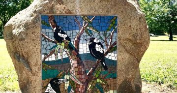 Queanbeyan 'bird lady' Laurel Rosin remembered with mosaic memorial